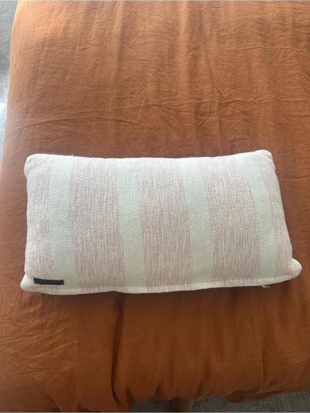 Plush Pink Heart Accent Throw Pillow